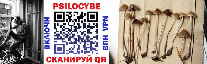 сколько стоит  Неман  Псилоцибиновые грибы мицелий 